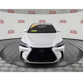 2024 Lexus NX 450h+ Luxury