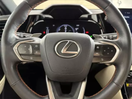 2024 Lexus NX 450h+ Luxury