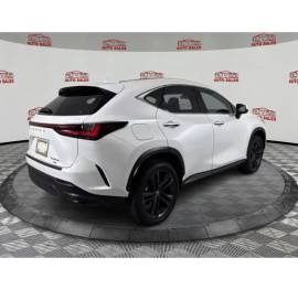 2024 Lexus NX 450h+ Luxury
